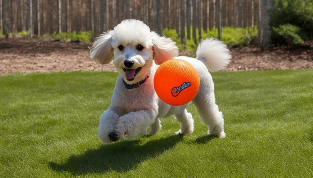 Chuckit! Ultra Rubber Ball