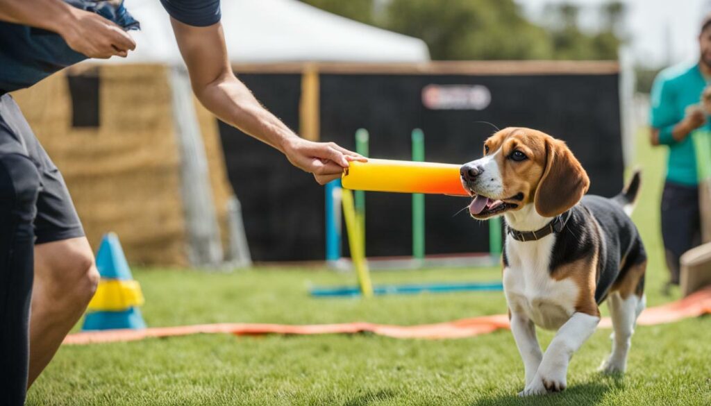 beagle training