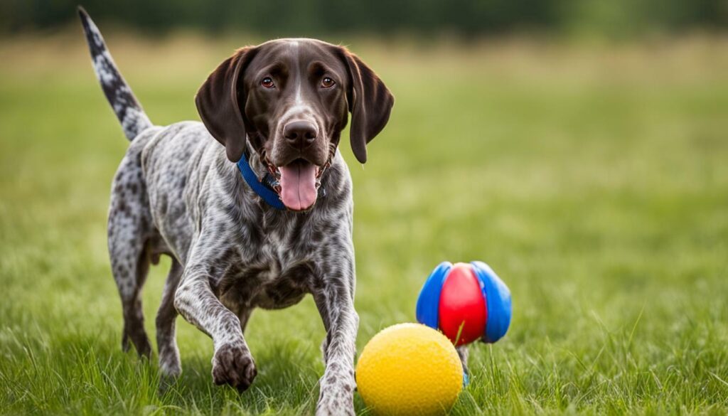 durable toys for German Shorthaired Pointer